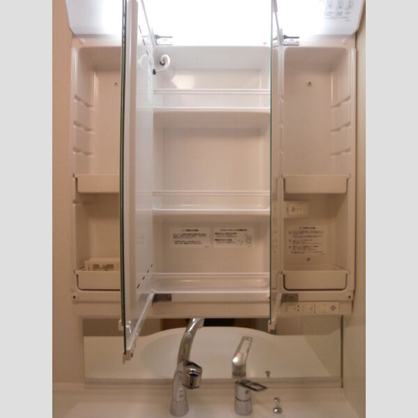 洗面所 (鏡の裏は収納スペース)