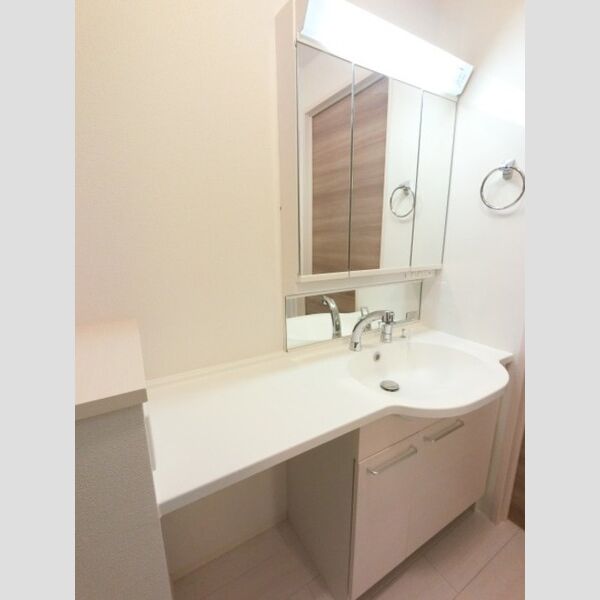 洗面所 (三面鏡・整理棚付きカウンター洗面台)