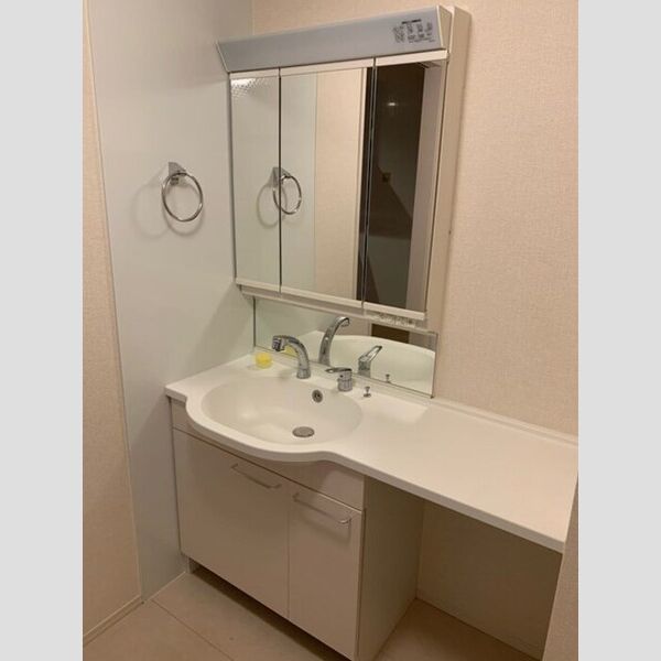 洗面所 (三面鏡(整理棚)付き洗面台)