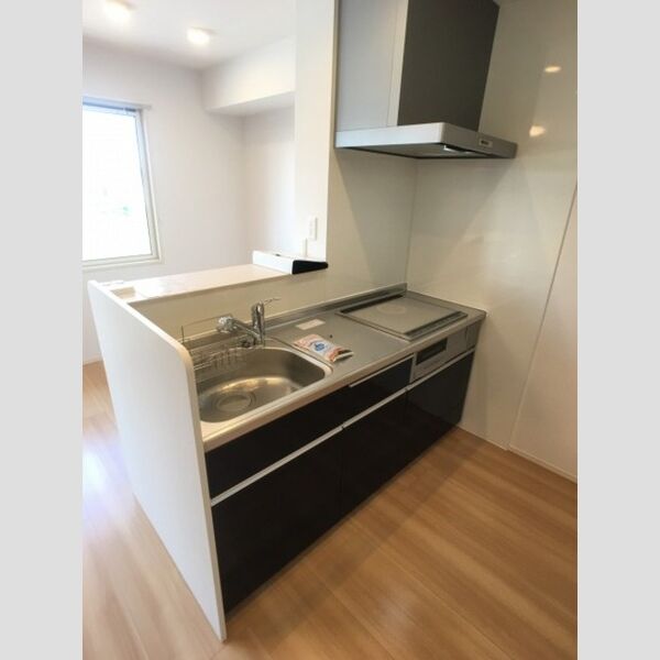 キッチン (IH・浄水器(別途契約)付き対面キッチン)