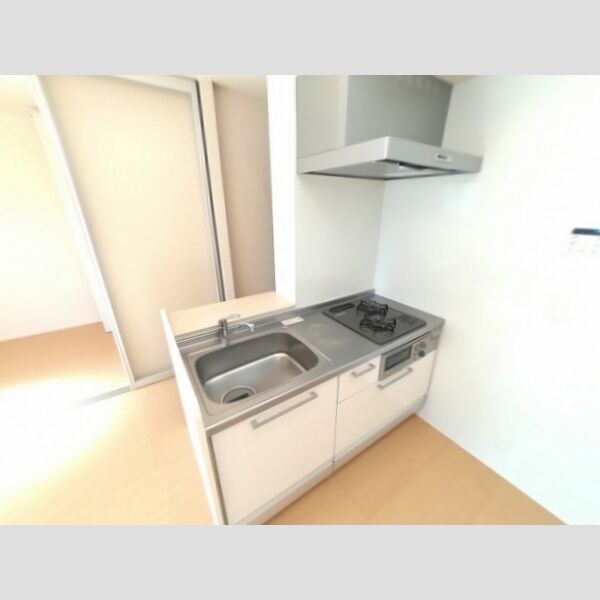 キッチン (2口ガスコンロ付きキッチン)