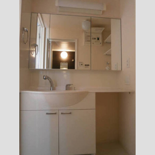 洗面所 (三面鏡(整理棚付き)カウンター洗面台)