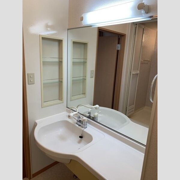 洗面所 (カウンター洗面台)