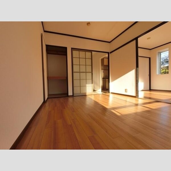 その他 (南西洋室)