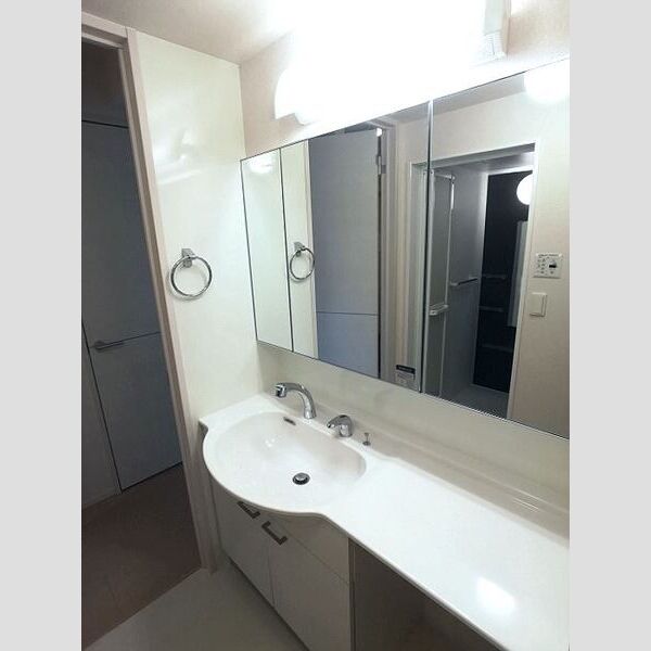 洗面所 (カウンター洗面台)