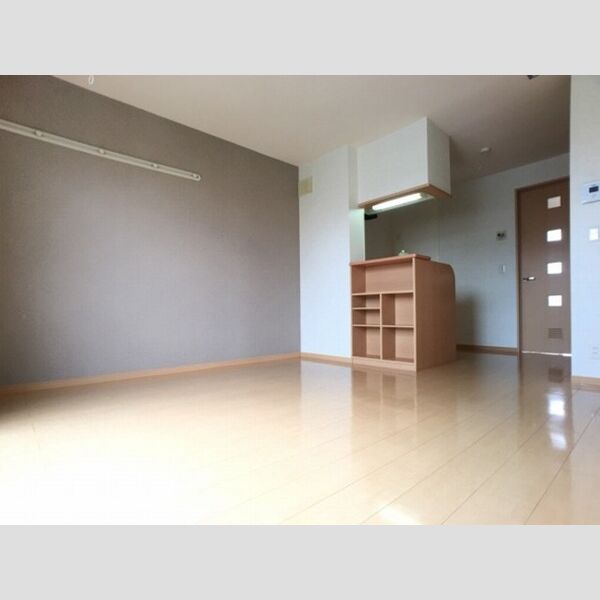 その他 (LDKカウンター裏・収納棚)