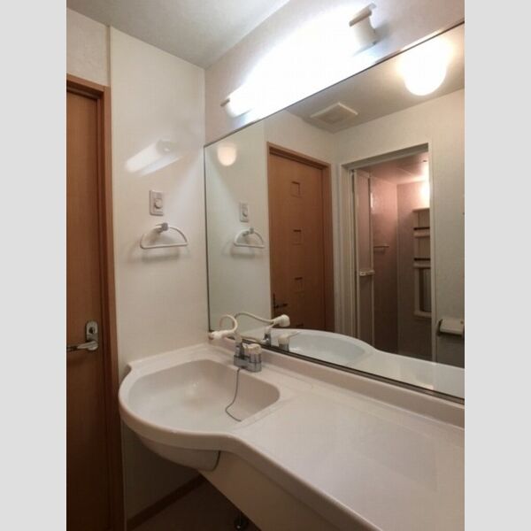 洗面所 (カウンター洗面台)