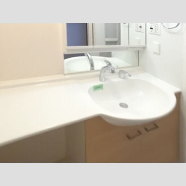 洗面所 (カウンター洗面台)