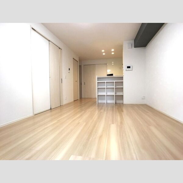 居室・リビング (LDK(全室照明器具付き))