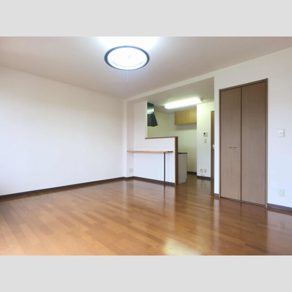 居室・リビング (LDK)