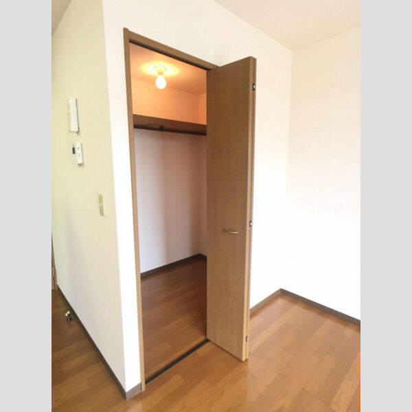 収納 (ウォークインクローゼット)