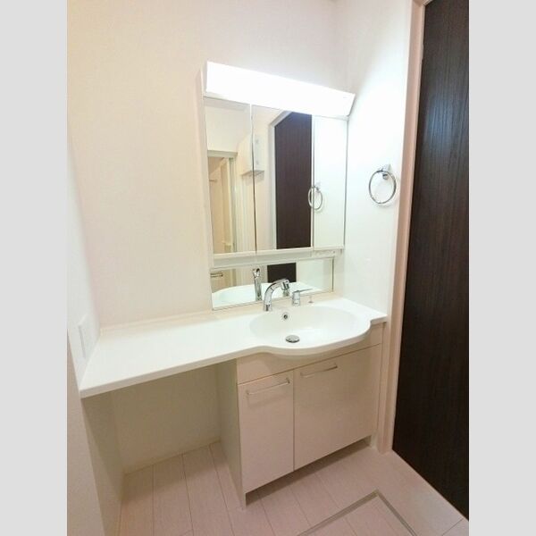 洗面所 (カウンター洗面台)