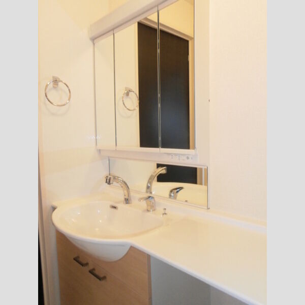 洗面所 (カウンター洗面台)