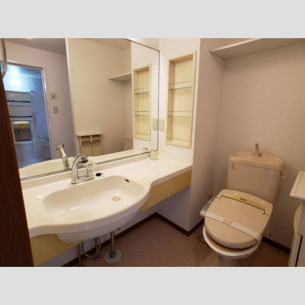 洗面所 (カウンター洗面台)