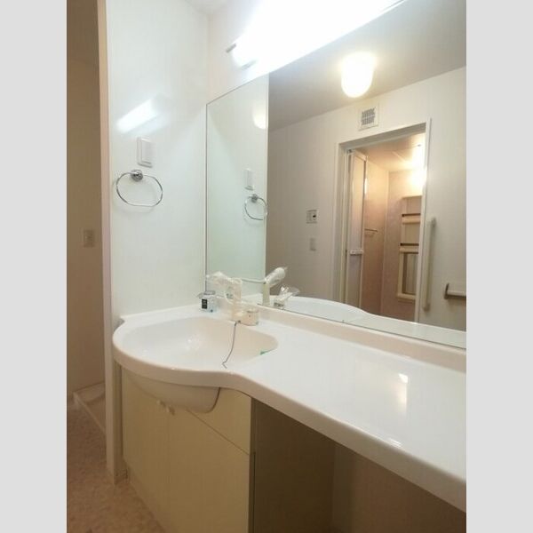 洗面所 (カウンター洗面台)