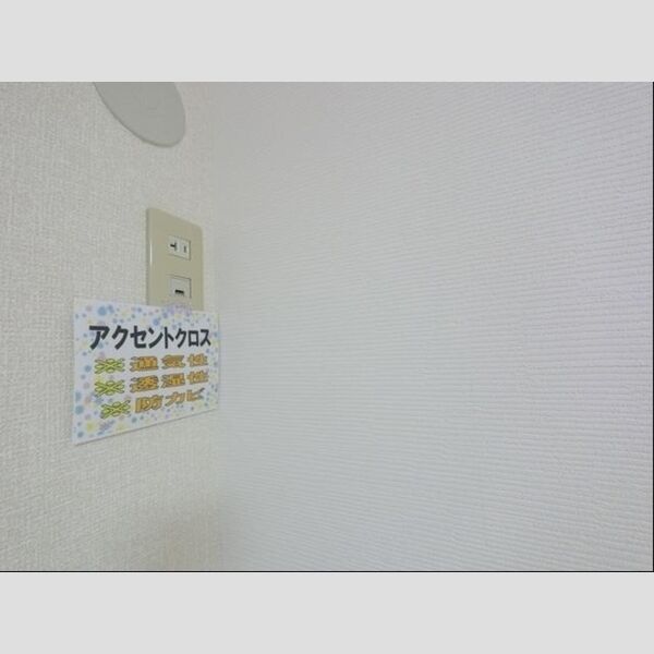 その他 (北洋室・アクセントクロス)