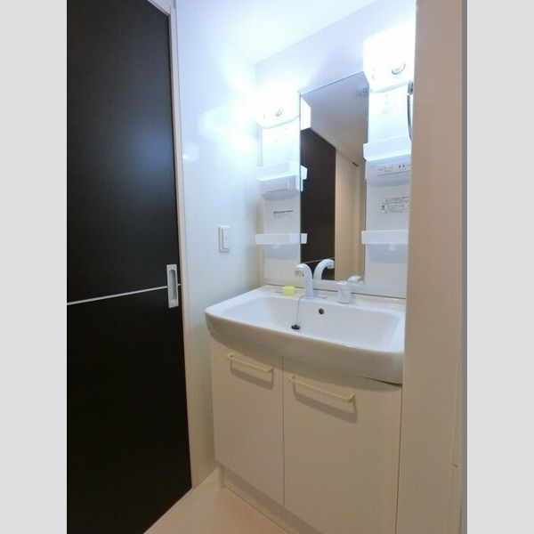 洗面所 (洗髪洗面化粧台)