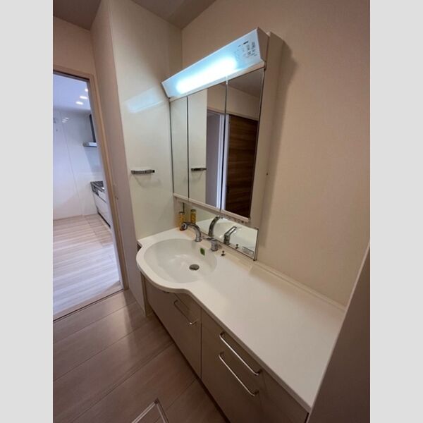 洗面所 (カウンター洗面台)