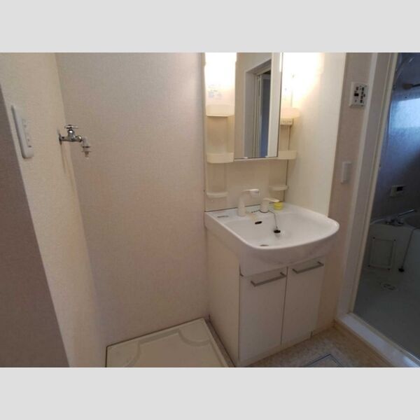 洗面所 (洗髪洗面化粧台)