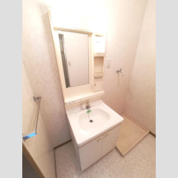 洗面所 (洗髪洗面化粧台)