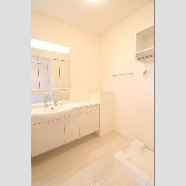 洗面所 (三面鏡(整理棚付き)カウンター洗面台)