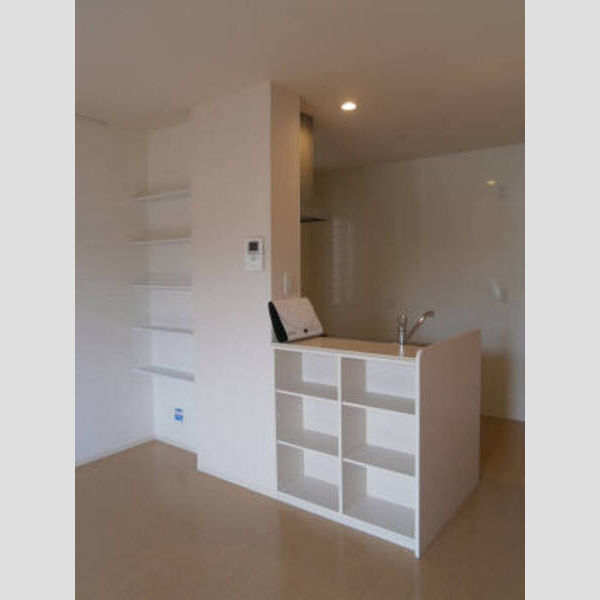 収納 (A103 カウンター裏・収納棚)