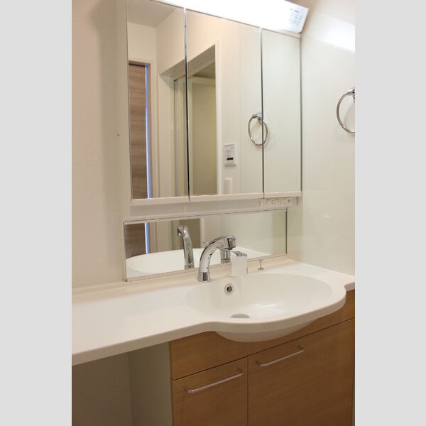 洗面所 (三面鏡・整理棚付きカウンター洗面台)