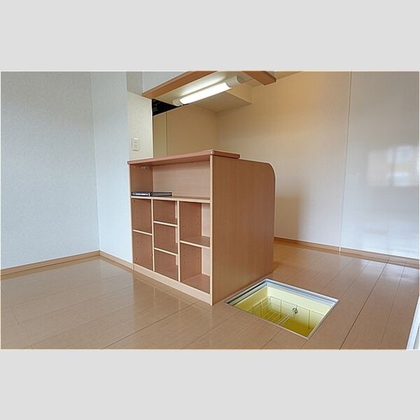 その他 (床下収納)