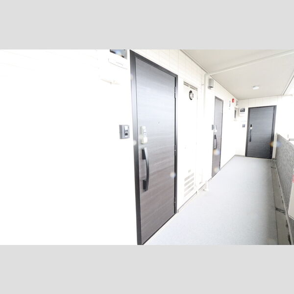 エントランス (玄関ドア)