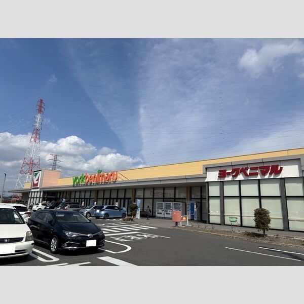 現地周辺 (ヨークベニマル小山雨ヶ谷店(772m))