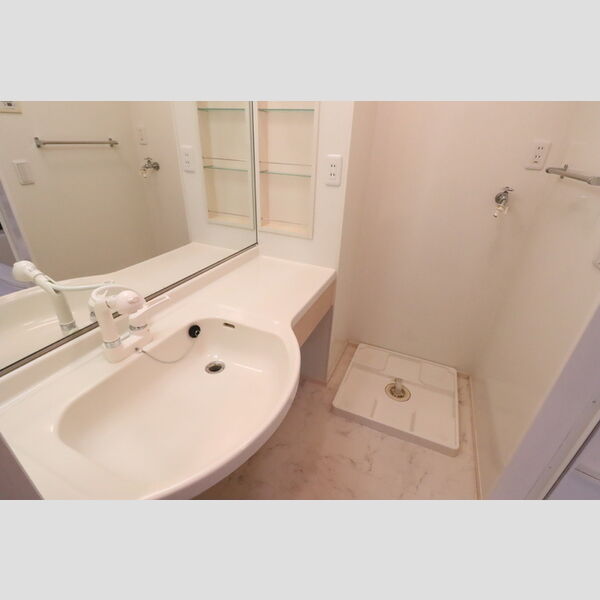 洗面所 (大型鏡の洗面台)