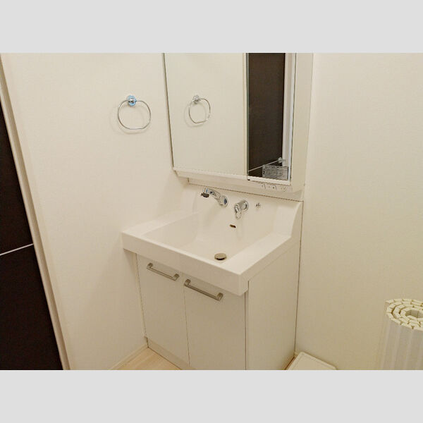 洗面所 (洗髪洗面化粧台)