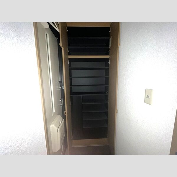 その他 (シューズボックス)