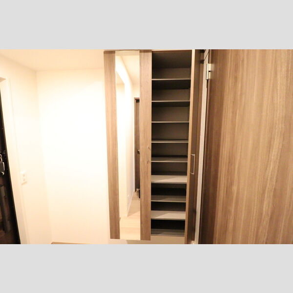 その他 (シューズボックス)