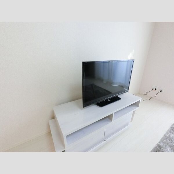 その他 (テレビつき)