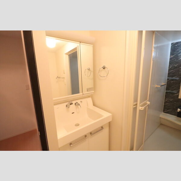 洗面所 (三面鏡になる洗面台)