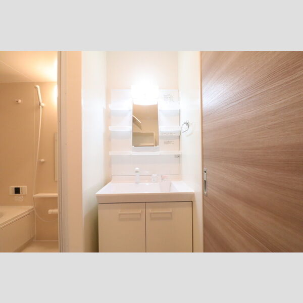 洗面所 (洗髪洗面化粧台)