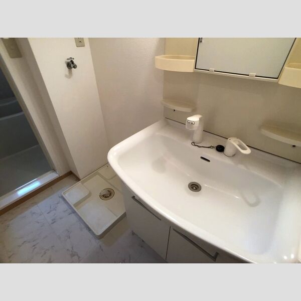 洗面所 (洗髪洗面化粧台)