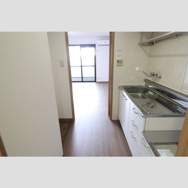 その他 (玄関から洋室)