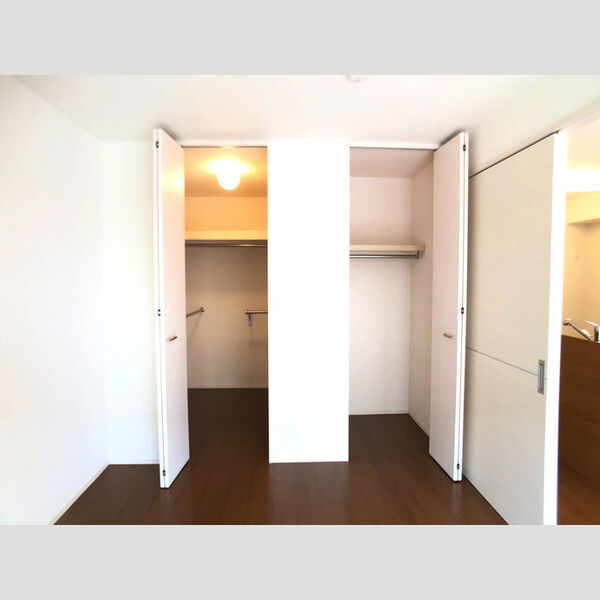 収納 (ウォークインクローゼット)