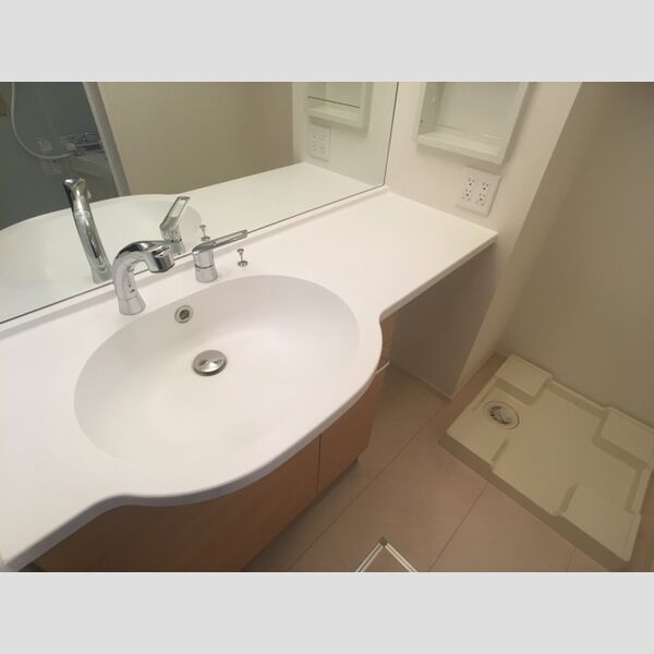 洗面所 (ドレッサータイプの洗面化粧台)