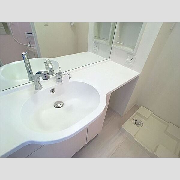 洗面所 (大きなボウルの洗髪洗面化粧台)