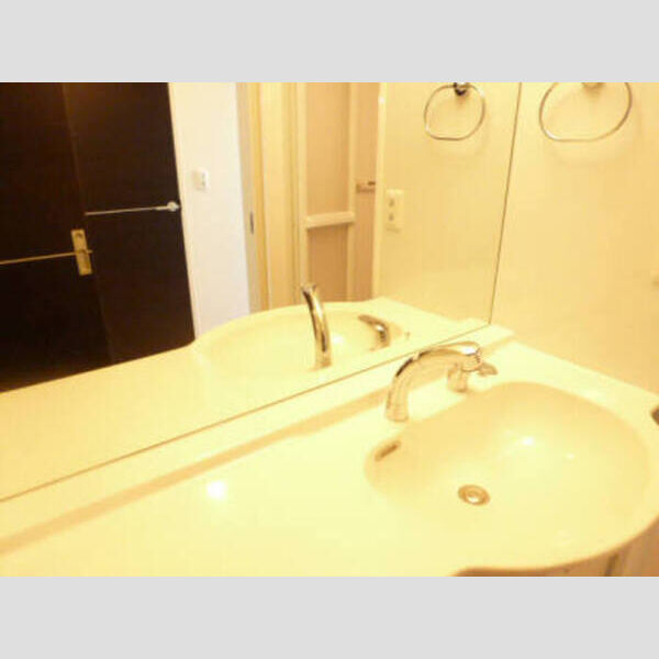 洗面所 (忙しい朝に嬉しい洗髪洗面台)