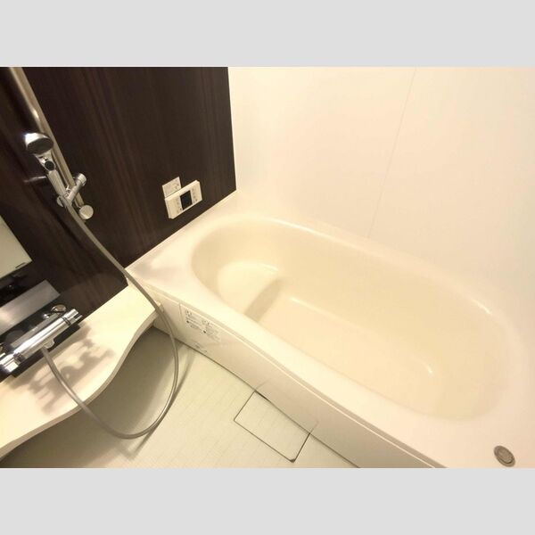 バス (バスルーム　一坪タイプ)