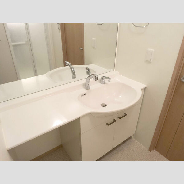 洗面所 (カウンタータイプ　洗髪洗面化粧台)