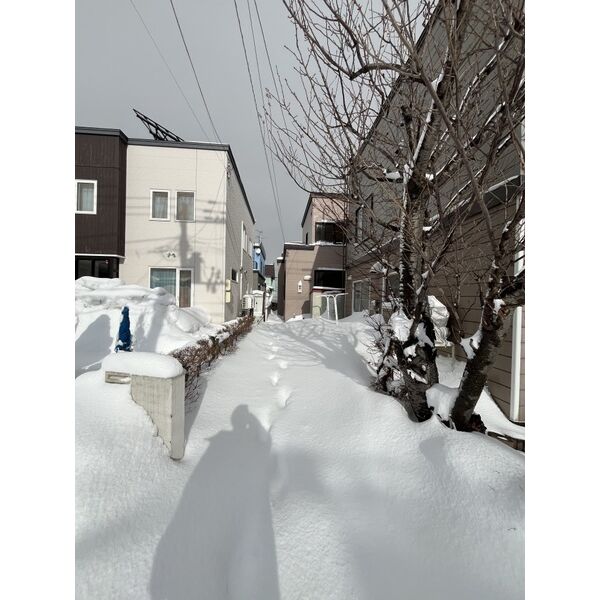 新琴似1条11丁目戸建 画像3