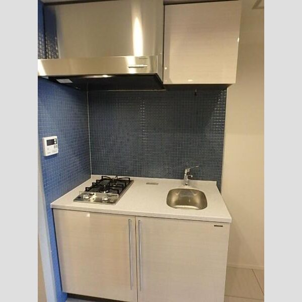 エスライズ北堀江スワンの室内写真2枚目