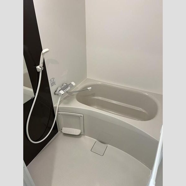 スワンズシティ神戸湊川 IIの室内写真6枚目