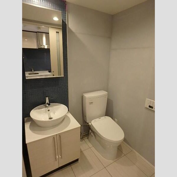 エスライズ北堀江スワンの室内写真10枚目