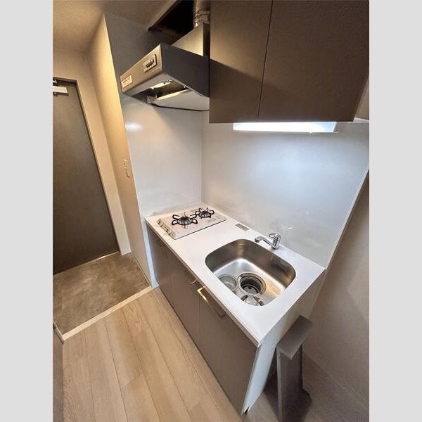 エスリードレジデンス大阪福島サウスフラッツの室内写真32枚目